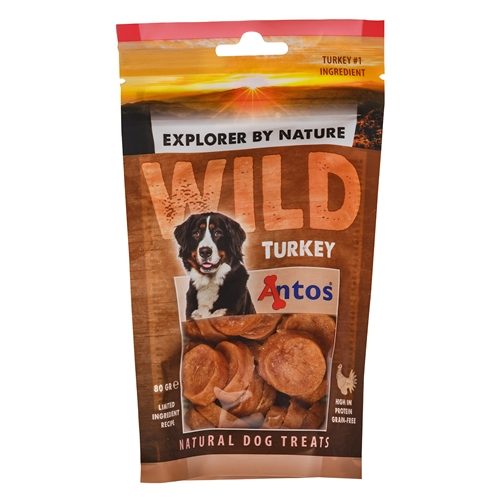 Antos wild turkey