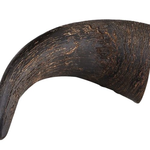 Buffalo horn